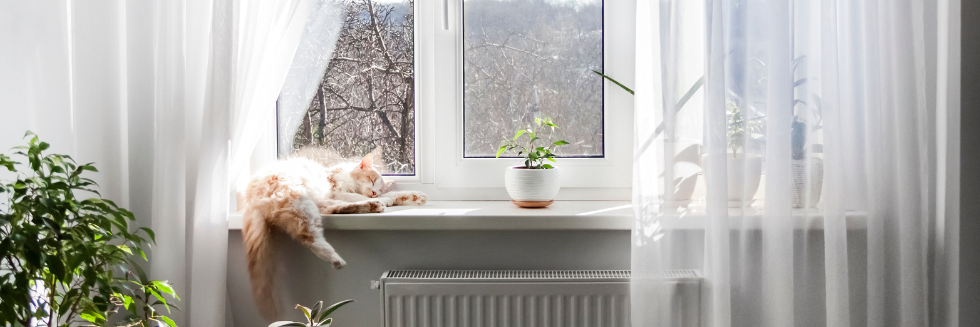 Fenêtres à Épernay PVC, bois & aluminium – Que choisir ?