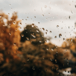 Optimiser la lumière chez vous à Épernay - Quel vitrage privilégier ?