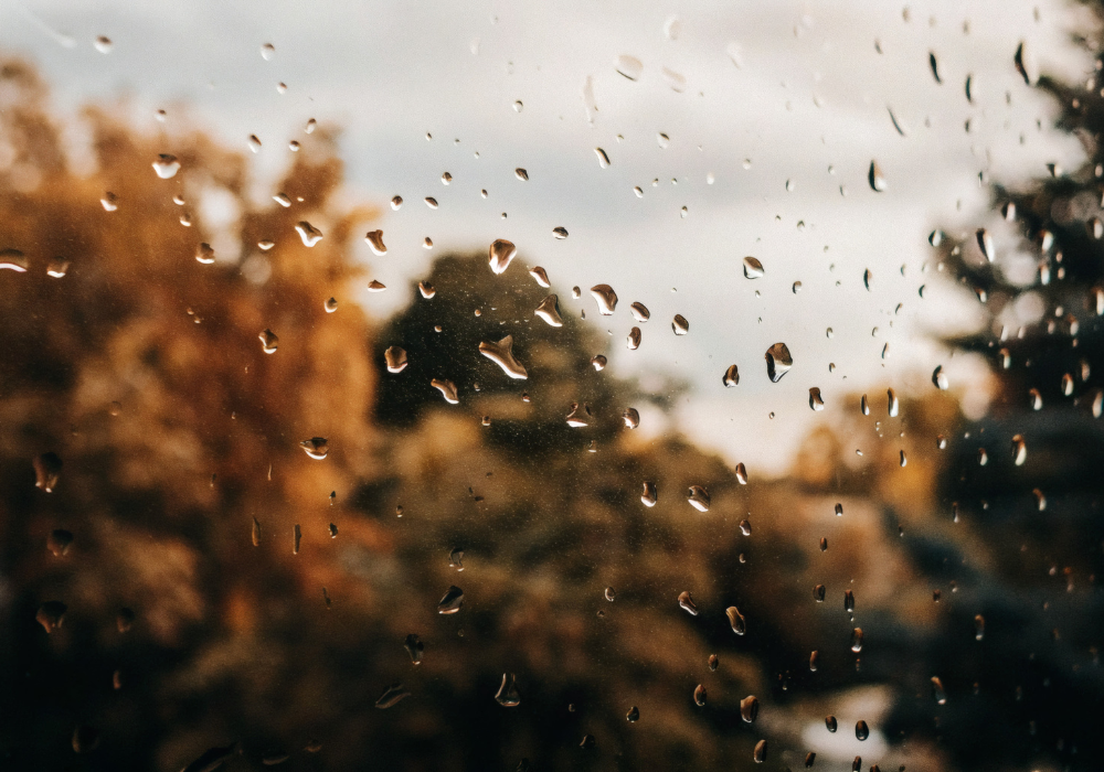 Optimiser la lumière chez vous à Épernay - Quel vitrage privilégier ?